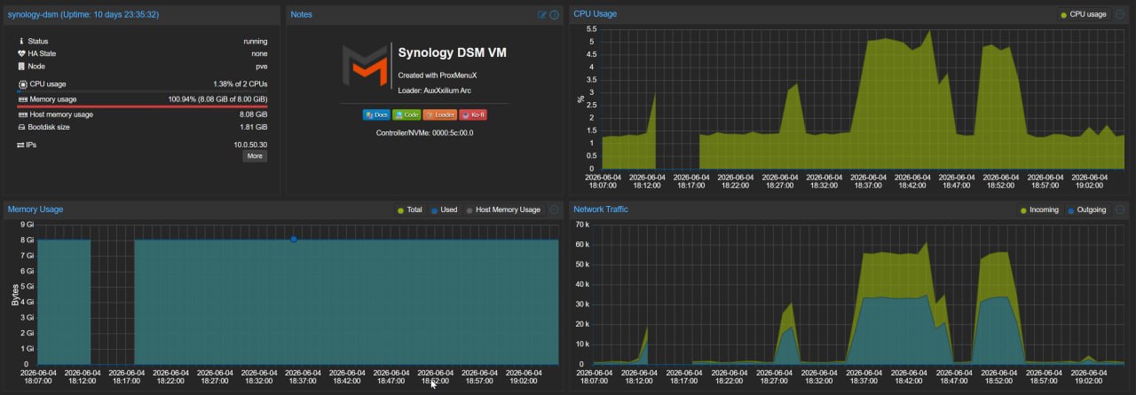 Synology DSM VM summary showing low CPU usage and near-full RAM allocation